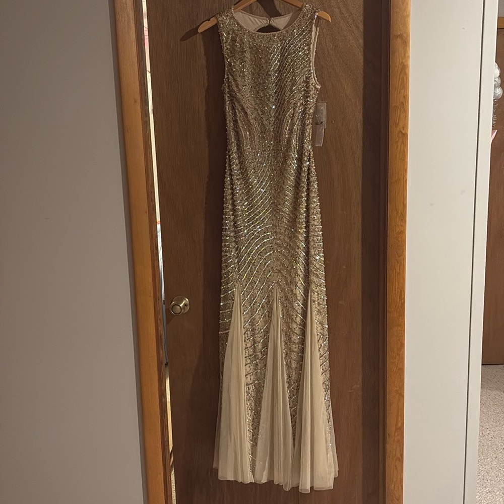 Aidan Maddox gown, backless, new never worn tags still intact